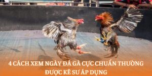 4 cách xem ngày đá gà cực chuẩn thường được kê sư áp dụng